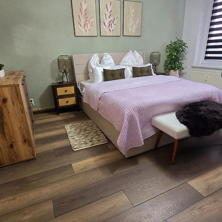 Cozy Pet-Friendly Apartment マイセン エクステリア 写真