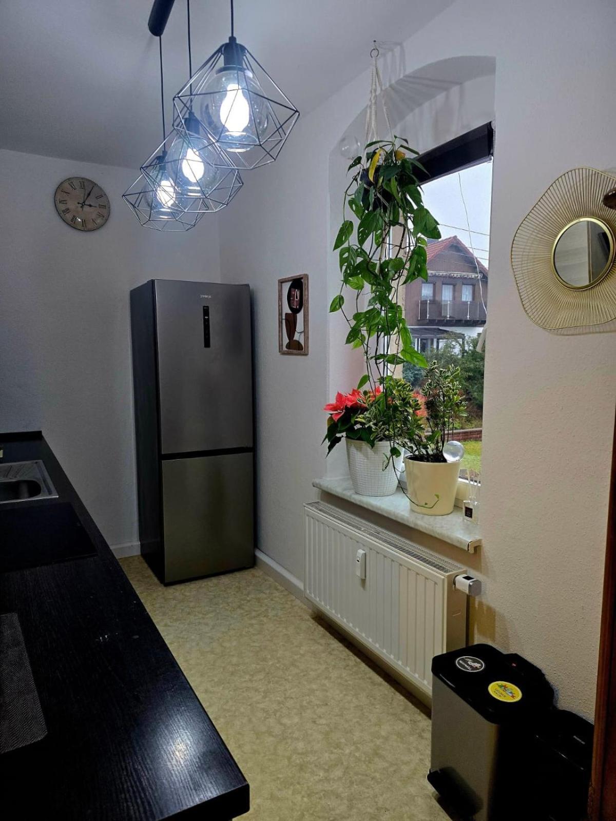 Cozy Pet-Friendly Apartment マイセン エクステリア 写真
